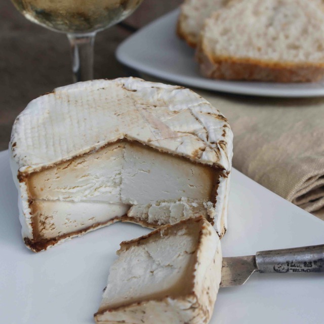 Paramero con Cenizas 120g